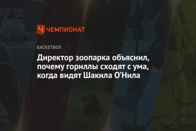 Шакил Онил - Директор зоопарка объяснил, почему гориллы сходят с ума, когда видят Шакила О’Нила - championat.com - Бостон - Лос-Анджелес