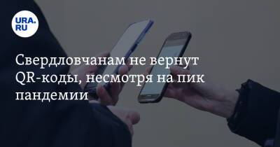 Павел Креков - Cвердловчанам не вернут QR-коды, несмотря на пик пандемии - ura.news - Россия - Екатеринбург - Свердловская обл.