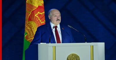 Александр Лукашенко - Андрей Швед - "Будут подкидывать дохлятину": Лукашенко предупредил о проблемах до референдума - profile.ru - Белоруссия