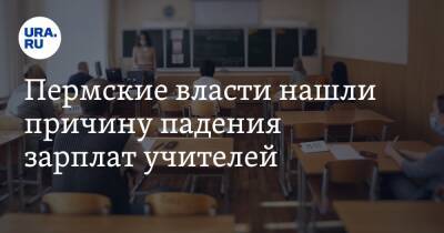Пермские власти нашли причину падения зарплат учителей - ura.news - Пермь - Пермский край