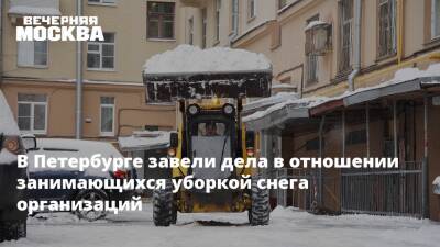 Алексей Кокорин - В Петербурге завели дела в отношении занимающихся уборкой снега организаций - vm.ru - Россия - Санкт-Петербург - Санкт-Петербург