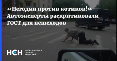 Петр Шкуматов - «Негодяи против котиков!» Автоэксперты раскритиковали ГОСТ для пешеходов - nsn.fm - Россия - Минтранс