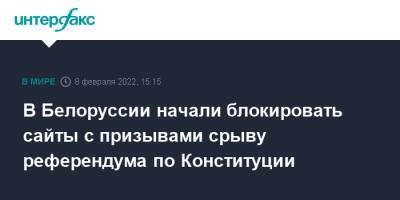 Александр Лукашенко - В Белоруссии начали блокировать сайты с призывами срыву референдума по Конституции - interfax.ru - Москва - Белоруссия - Витебская обл.