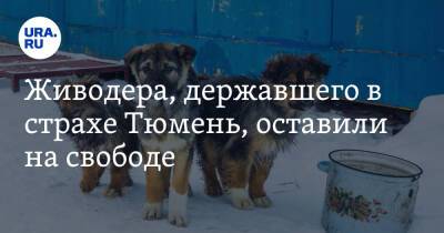 Живодера, державшего в страхе Тюмень, оставили на свободе - ura.news - Тюмень - Тюменская обл.