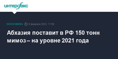 Абхазия поставит в РФ 150 тонн мимоз – на уровне 2021 года - interfax.ru - Москва - Россия - Сочи - Апсны