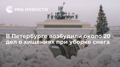 Александр Беглов - Власти Петербурга возбудили около 20 уголовных дел о хищениях при уборке снега - ria.ru - Россия - Санкт-Петербург - Санкт-Петербург
