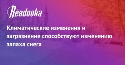 Климатические изменения и загрязнение способствуют изменению запаха снега - readovka.ru - Washington