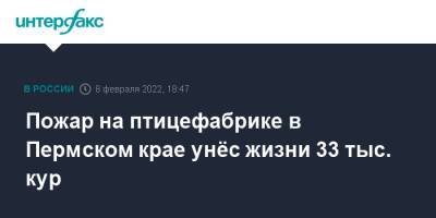 Пожар на птицефабрике в Пермском крае унёс жизни 33 тыс. кур - interfax.ru - Москва - Россия - Пермский край - округ Кунгурский