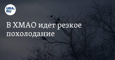 В ХМАО идет резкое похолодание - ura.news - Сургут - Югра - Нижневартовск