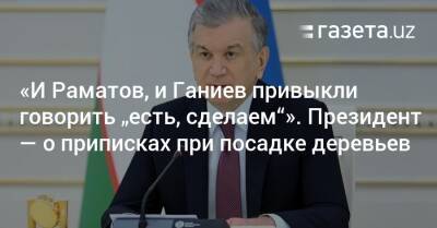 Шавкат Мирзиеев - «И Раматов, и Ганиев привыкли говорить „есть, сделаем“». Президент — о приписках при посадке деревьев - gazeta.uz - Узбекистан - Ташкент