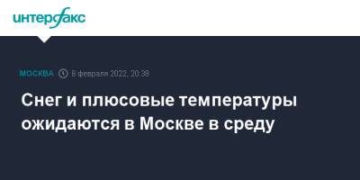 Роман Вильфанд - Снег и плюсовые температуры ожидаются в Москве в среду - interfax.ru - Москва - Россия - Москва