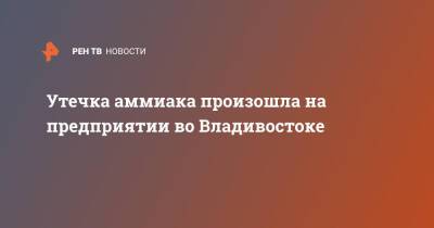 Утечка аммиака произошла на предприятии во Владивостоке - ren.tv - Красноярск - Владивосток - Владивосток