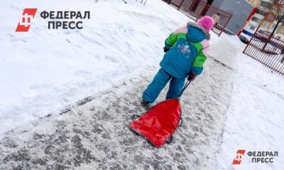 Елен Майоров - Петербургские депутаты 9 февраля обсудят детские выплаты и контроль цен на ПЦР-тесты - fedpress.ru - Санкт-Петербург
