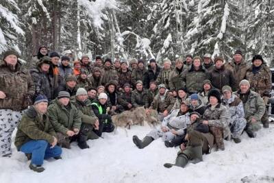 Костромские охотники ликвидировали волчью стаю в Шарьинском районе - kostroma.mk.ru