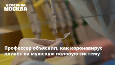Профессор объяснил, как коронавирус влияет на мужскую половую систему - vm.ru - Москва