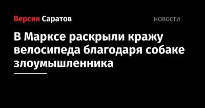 В Марксе раскрыли кражу велосипеда благодаря собаке злоумышленника - nversia.ru - Россия - Саратовская обл.