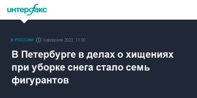 В Петербурге в делах о хищениях при уборке снега стало семь фигурантов - interfax.ru - Москва - Санкт-Петербург