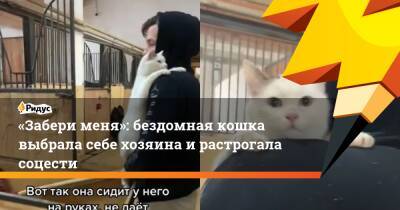 «Забери меня»: бездомная кошка выбрала себе хозяина и растрогала соцести - ridus.ru