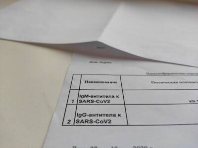 Жители Башкирии смогут получить QR-код при наличии антител к COVID-19 - ufacitynews.ru - Россия - Башкирия