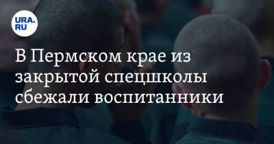 В Пермском крае из закрытой спецшколы сбежали воспитанники - ura.news - Пермский край