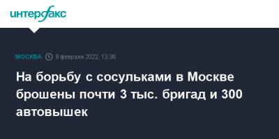 На борьбу с сосульками в Москве брошены почти 3 тыс. бригад и 300 автовышек - interfax.ru - Москва - Москва