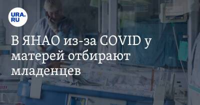 В ЯНАО из-за COVID у матерей отбирают младенцев - ura.news - Россия - Ноябрьск - Салехард - окр. Янао