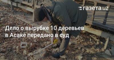 Хает Шамсутдинов - Дело о вырубке 10 деревьев в Асаке передано в суд - gazeta.uz - Узбекистан