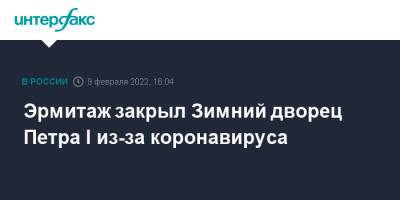 Петр I - Альбрехт Дюрер - Эрмитаж закрыл Зимний дворец Петра I из-за коронавируса - interfax.ru - Москва - Санкт-Петербург - Петербург