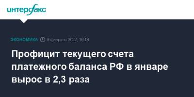 Профицит текущего счета платежного баланса РФ в январе вырос в 2,3 раза - interfax.ru - Москва - Россия