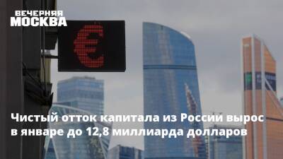 Юрий Юденков - Чистый отток капитала из России вырос в январе до 12,8 миллиарда долларов - vm.ru - Россия