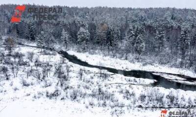 На Ямале выставят на торги лицензионный участок на землях лесного фонда - smartmoney.one - Салехард