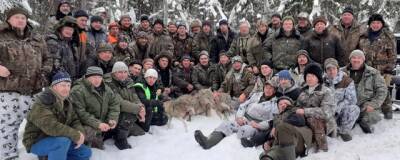 В Шарьинском районе охотники ликвидировали волчью стаю - runews24.ru - Костромская обл.