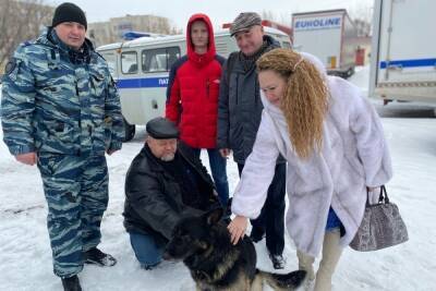 В Курске на сына детского омбудсмена напала стая бездомных собак - chr.mk.ru - Россия - Курская обл. - Курск