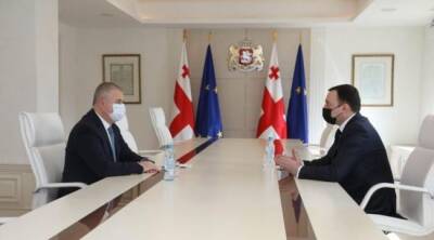 Леван Давиташвили - Премьер-министр Грузии назначил нового бизнес-омбудсмена - eadaily.com - Грузия