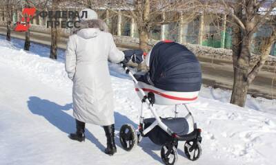 Следователи проводят проверку после падения глыбы льда на детскую коляску в Луге - fedpress.ru - Санкт-Петербург - Луга