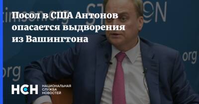 Анатолий Антонов - Посол в США Антонов опасается выдворения из Вашингтона - nsn.fm - Москва - Россия - США - Вашингтон - Посол