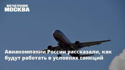 Владимир Путин - Авиакомпании России рассказали, как будут работать в условиях санкций - vm.ru - Россия - Киев - Египет - Турция - ДНР - Болгария - Кипр - Будапешт - ЛНР - Эмираты - Ирландия
