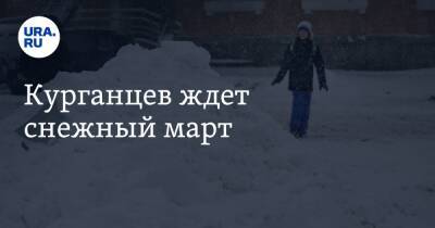 Илья Винштейн - Курганцев ждет снежный март - ura.news