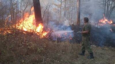 В Пензенской области готовятся к сезону лесных пожаров - penzainform.ru - Пензенская обл.