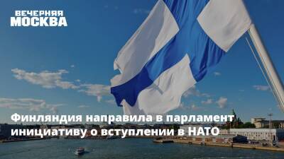 Финляндия направила в парламент инициативу о вступлении в НАТО - vm.ru - Россия - Финляндия