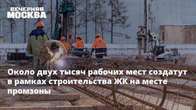 Анастасия Пятова - Около двух тысяч рабочих мест создатут в рамках строительства ЖК на месте промзоны - vm.ru - Москва - Москва - Строительство
