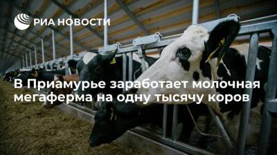 Василий Орлов - Молочная мегаферма на одну тысячу коров заработает в Приамурье к концу года - smartmoney.one - Амурская обл.