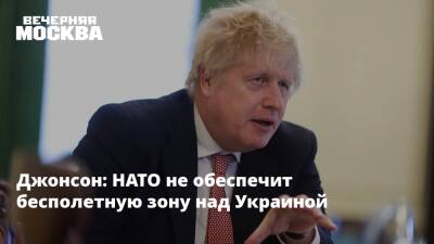 Владимир Путин - Борис Джонсон - Бен Уоллес - Лиз Трасс - Джонсон: НАТО не обеспечит бесполетную зону над Украиной - vm.ru - Россия - Украина - Англия - ДНР - ЛНР - Донецкая обл.