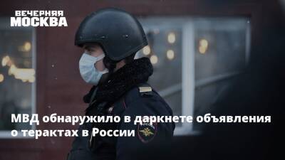 МВД обнаружило в даркнете объявления о терактах в России - vm.ru - Россия - Украина - Крым