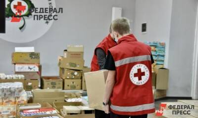 ОП РФ направила 6,5 тонн гумпомощи в Донбасс - fedpress.ru - Москва - Россия - Украина