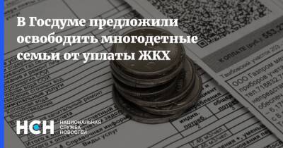 В Госдуме предложили освободить многодетные семьи от уплаты ЖКХ - nsn.fm