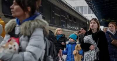 В Польше приняли закон об украинских беженцах: что нужно знать - focus.ua - Россия - Украина - Польша