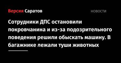 Сотрудники ДПС остановили покровчанина и из-за подозрительного поведения решили обыскать машину. В багажнике лежали туши животных - nversia.ru - Россия - Саратовская обл. - Саратов