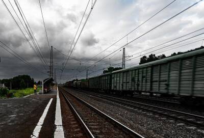 Густаво Зырянов - Рост погрузки грузов на железной дороге в Новосибирской области с начала года составил почти 20 % - sib.fm - Новосибирская обл.