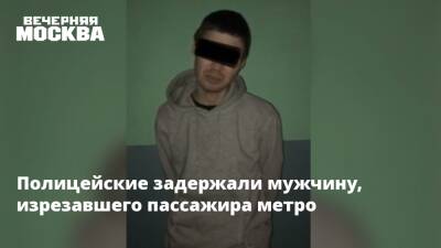 Полицейские задержали мужчину, изрезавшего пассажира метро - vm.ru - Москва - Россия
